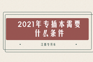 2021年专插本需要什么条件?