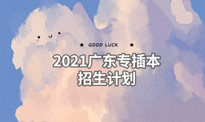 2021广东专插本招生计划