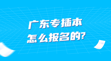 企业简约速报快报通知banner首图 (1).jpg