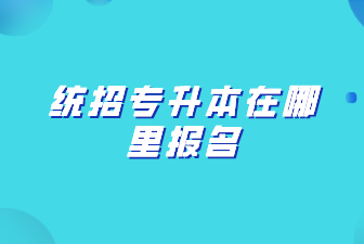 统招专升本在哪里报名