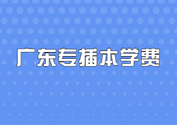 广东专插本学费