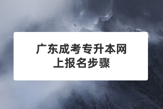 广东成考专升本网上报名步骤