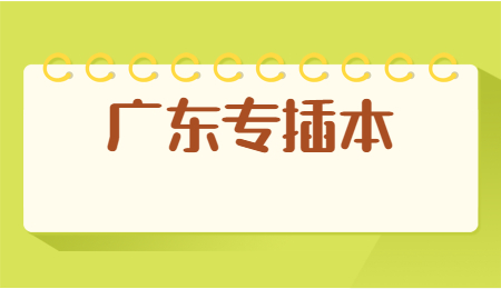 2022年广东专插本是怎样录取的