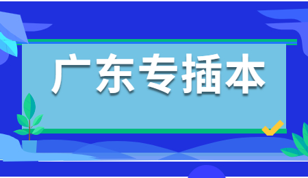 广东专插本录取通知书