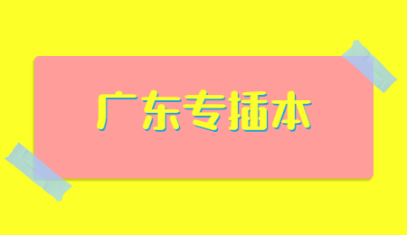 广东省专插本录取