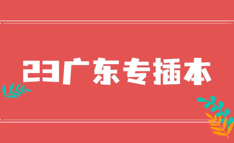 23专插本生必看!广东专插本重要时间点预测，一文弄懂插本全流程~