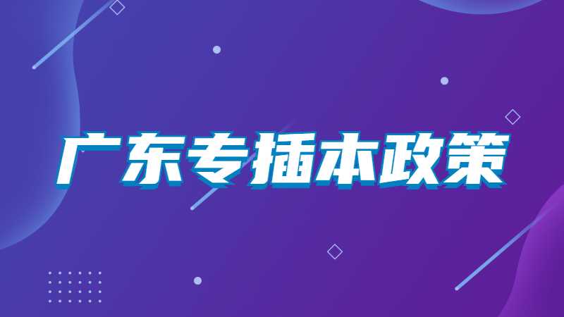 2023年广东专插本政策预计12月发布