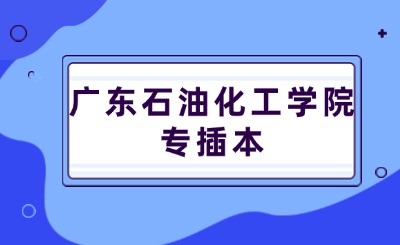 广东石油化工学院专插本