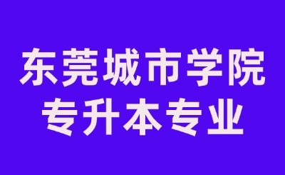 东莞城市学院专升本专业