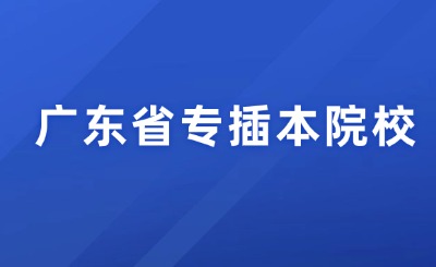 广东省专插本院校