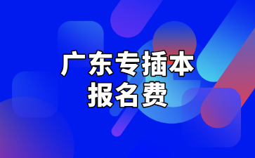 2025年广东专插本报名费多少钱？怎么报名？